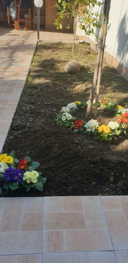 Casa Gialli Katanya Dış mekan fotoğraf